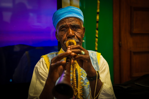 Traitement punaises de lit Mamoudzou